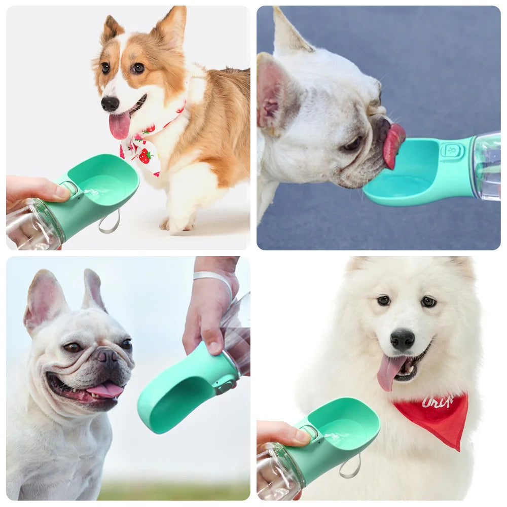 Bouteille d'Eau Portable pour Chien – Anti-Fuite et Idéale pour Voyage 🐾💧
