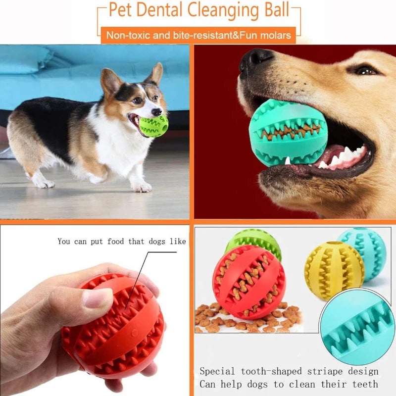 Balle Interactive pour Chien – Jouet à Mâcher et Distributeur de Friandises 🐶🦴