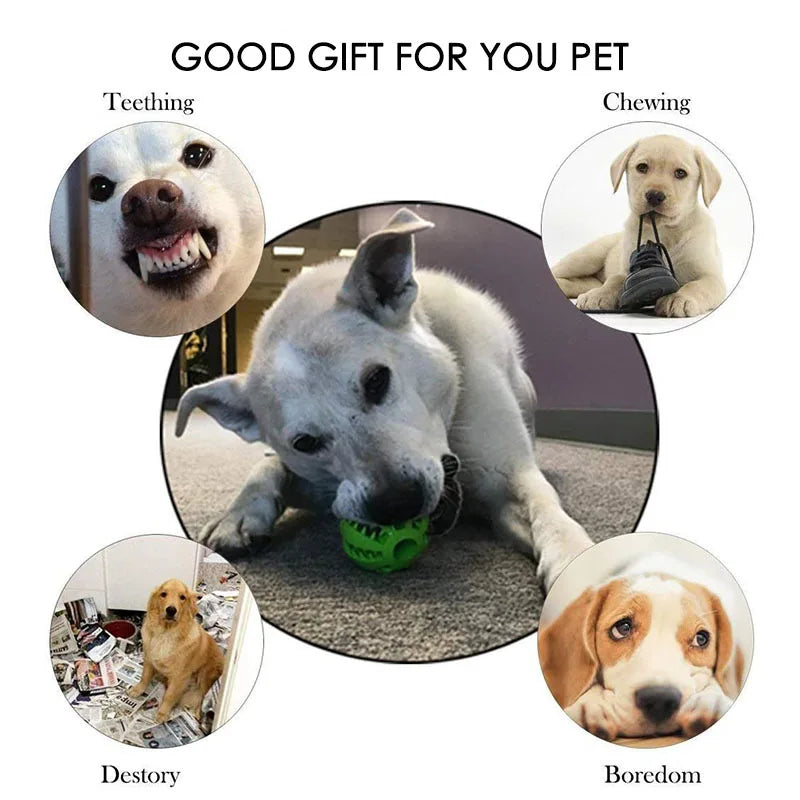 Balle Interactive pour Chien – Jouet à Mâcher et Distributeur de Friandises 🐶🦴