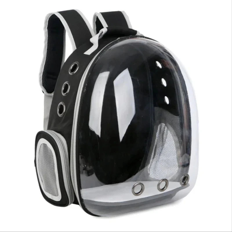 Clear pet backpack with black straps on a white background