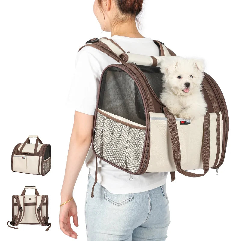 Person carrying a pet carrier with a dog inside on a white background