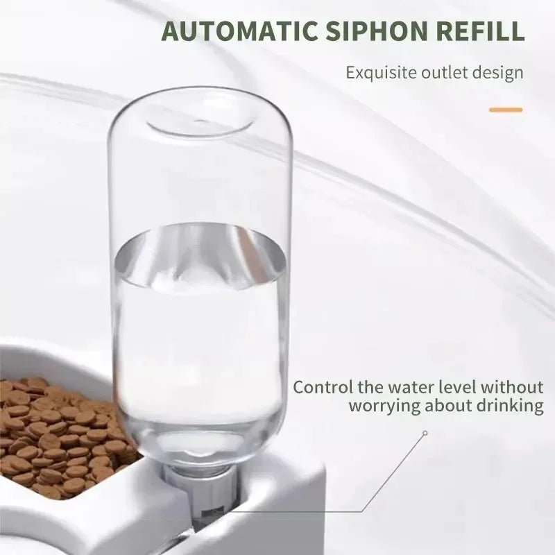 Pet food and water bowl on a white background